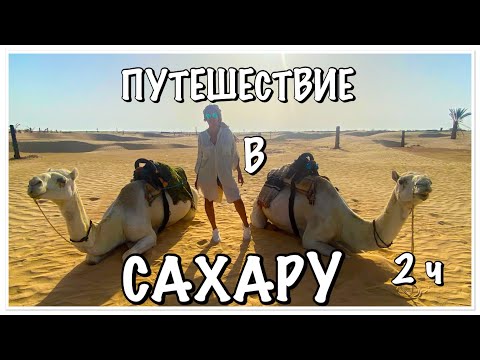 Видео: ТУНИС 2021/ДВУХДНЕВНАЯ ЭКСКУРСИЯ В САХАРУ/ПУСТЫНЯ САХАРА/ОБЗОР ПУТЕШЕСТВИЯ В САХАРУ/ОТДЫХ В ТУНИСЕ/2