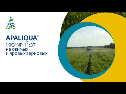 Видео: APALIQUA ЖКУ NP 11:37 на озимых и яровых зерновых.