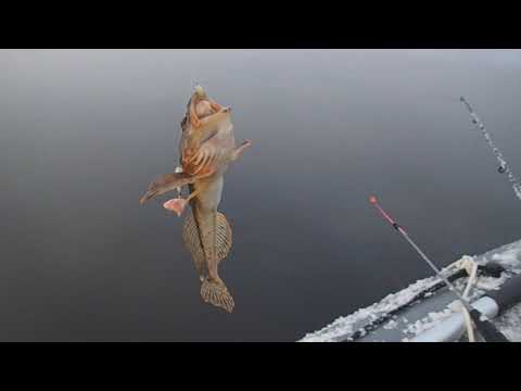 Видео: Унская губа ,Белое море ,первая зимняя навага