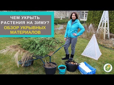 Видео: Чем укрывать растения на зиму?//Обзор укрывных материалов