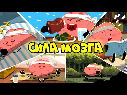 Видео: 5 Способов Улучшить Работу Мозга (Как Стать Ментально Сильнее)