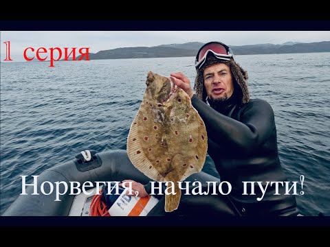 Видео: 🤿 Холодная охота, горячий трофей 🔥🐟 oсень 2023г. Норвегия 🇧🇻 , остров Senja,  c 👉Геннади Коваленко👍