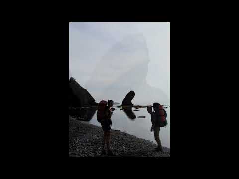 Видео: По Западному побережью Сахалина