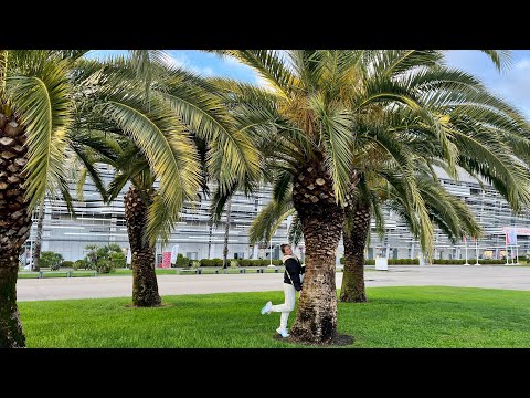 Видео: В СОЧИ ХОЛОДНО,🌴АЛЛЕЯ ПАЛЬМ В СИРИУСЕ🌴ФОНТАН