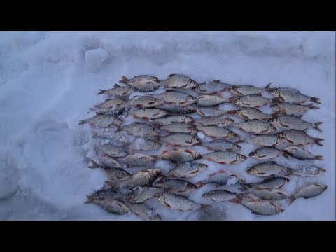 Видео: Рефтинское водохранилище( Рассохи 3). Зимняя рыбалка 11 МАРТА 2024 год.