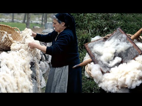 Видео: Шерсть в Пиренеях. Стрижка овец, чесание и пошив одежды | Документальный фильм