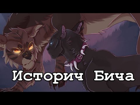 Видео: История Бича/Коты-воители