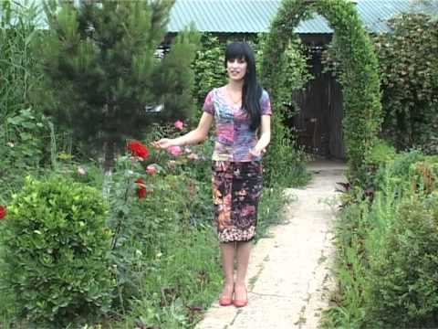 Видео: группа Караван-Эльвира