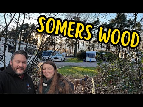 Видео: Один из наших любимых вариантов. Жить под высокими деревьями!!