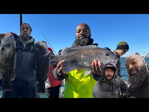 Видео: СУМАСШЕДШЕЕ! Мощный экшн на чёрном окуне (таутог) на канале James Joseph Fishing. Встретился с ле...