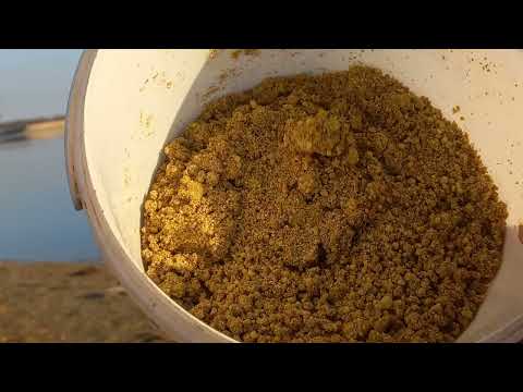 Видео: Рыбалка 🎣 🐟 на реке Кура осень 30 10 2023г