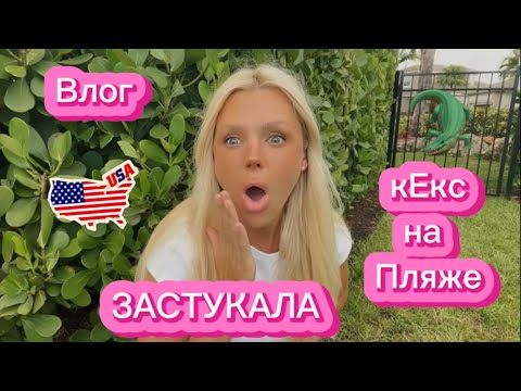 Видео: 🐊 Животные во Флориде: наши соседи аллигаторы! Чуть не напал 😱 + спасибо вам ❤️