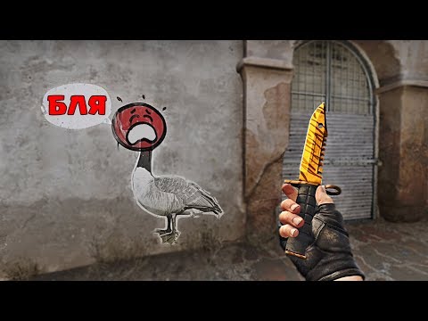 Видео: CS:GO "Ең қызықты сәттер 2"