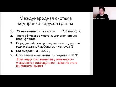 Видео: Л. Т. Баязитова. Возбудители ОРВИ.