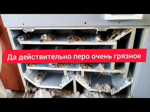 Видео: Реставрация подушек перьевых.