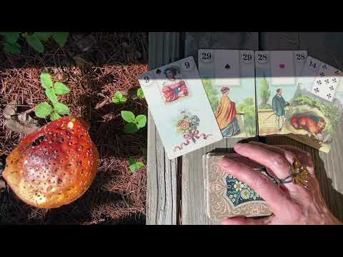 Видео: Диагностика Негативного Влияния. Есть ли на Вас Негатив?