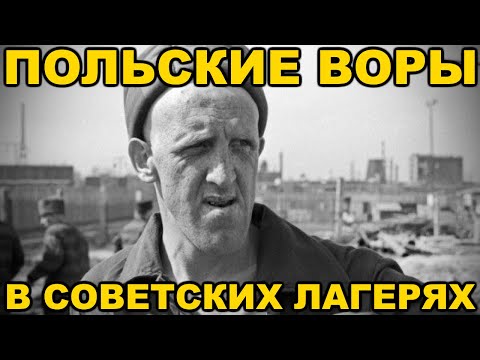 Видео: Кого называли польскими ворами в советских тюрьмах и лагерях