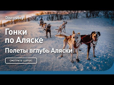 Видео: Гонки по Аляске | Полеты вглубь Аляски | Discovery