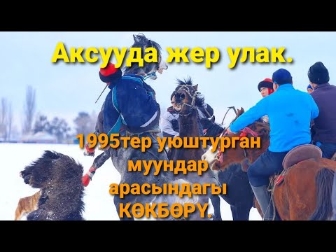 Видео: Аксууда жер улак 1-болум.