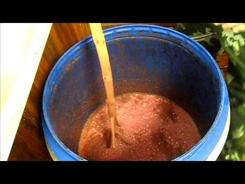 Видео: изабелла самодельное виноградное домашнее вино ч3