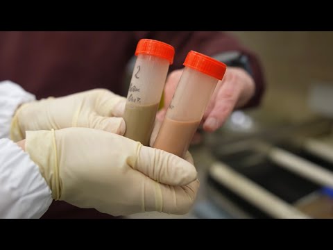 Видео: Из чего создают Железную дорогу?