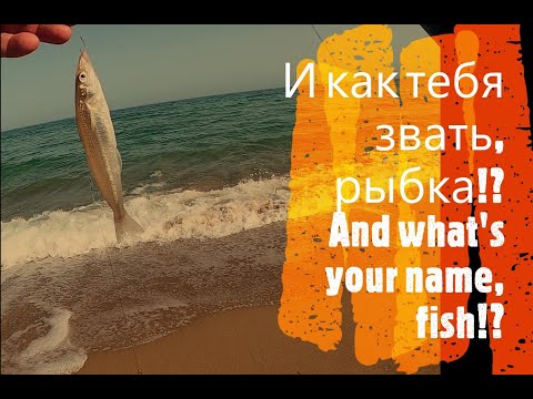 Видео: Рыбалка на море, пару часов в Хайфе и Атлите.  Sea fishing, a couple of hours in Haifa and Atlit