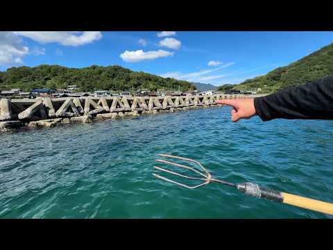 Видео: Я попробовал подводную охоту на четвероногих — настоящий рай для рыбы.