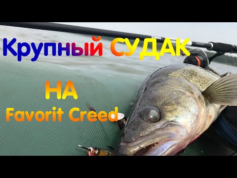 Видео: КРУПНЫЙ СУДАК НА НОВЫЙ СПИННИНГ!!! FAVORIT CREED!!! ТРОФЕЙНЫЙ ОКУНЬ!!!