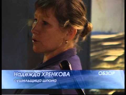 Видео: Сушка шпона