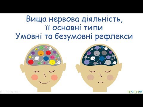 Видео: Поняття про вищу нервову діяльність. Умовні та безумовні рефлекси