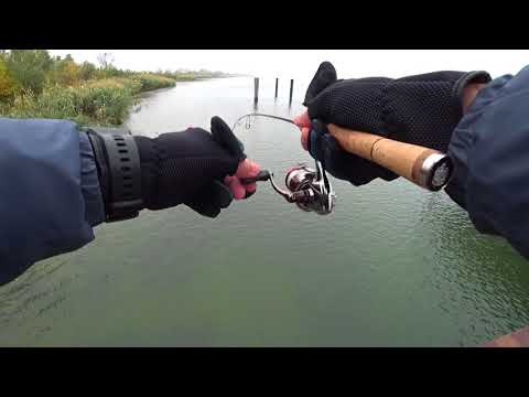 Видео: Пристань