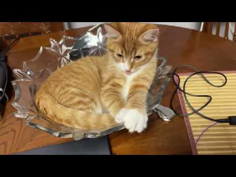 Видео: ВОТ МЫ ПОПАЛИ СЕГОДНЯ! ГДЕ ТОЛЬКО НЕ БЫЛИ!