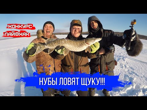 Видео: Зимняя рыбалка на жерлицы. Поймали даже новички!