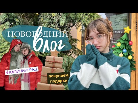 Видео: новогодний веселый влог 🎄❄️☃️