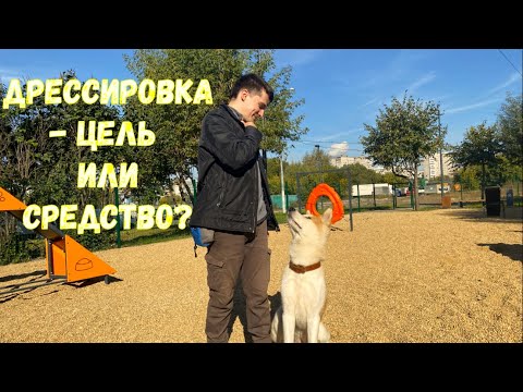 Видео: Дрессировка - цель или средство?