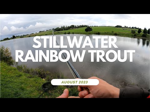 Видео: Радужная форель в тихой воде – рыболовство Borland
