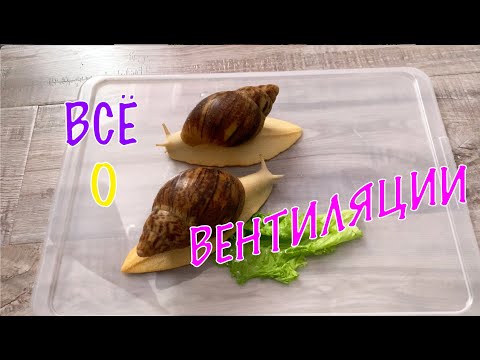 Видео: ВАМ НУЖНО ЭТО ВИДЕО. ВСЁ О ПРАВИЛЬНОЙ ВЕНТИЛЯЦИИ.