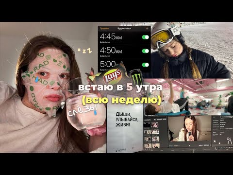 Видео: встаю в 5 утра всю неделю