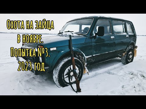 Видео: Охота на зайца в ноябре. Попытка №3. 2023 год