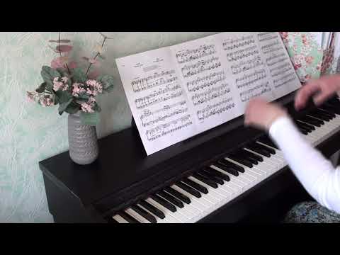 Видео: Май. Белые ночи. Цикл "Времена года". П.И. Чайковский