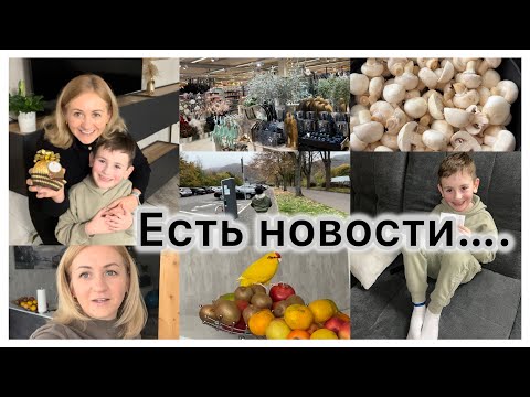 Видео: Есть новость ✔️готовлю грибы 🍄‍🟫 суп 🍜 магазин Globus, покупки 🛒 загруженный по полной ✔️результат