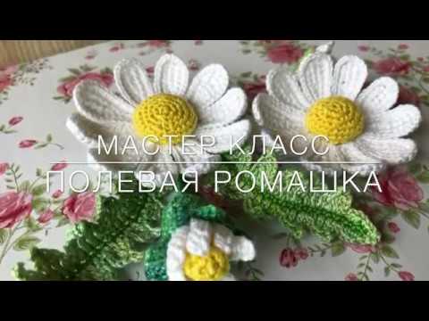 Видео: 💖Мастер класс💖 «Полевая ромашка» тунисское вязание. Crochet flower pattern