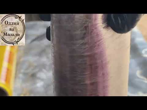 Видео: Гўштли рулетни яна бошқатдан  тайёрлаймиз (let’s make another meat roulette from another horse)