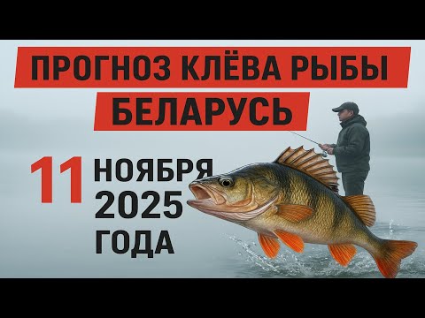 Видео: ПРОГНОЗ КЛЁВА в Беларуси на 11 ноября 2025 года: Бросай все и на рыбалку!