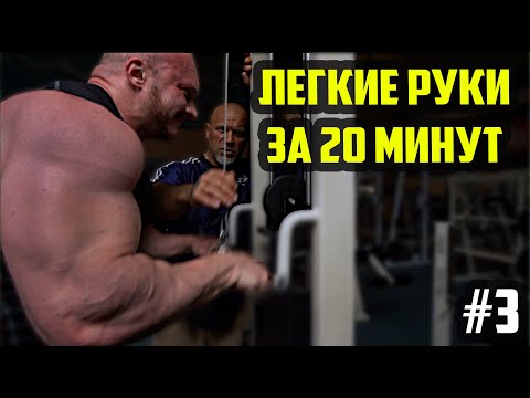 Видео: РУКИ ЗА 20 МИНУТ БЕЗ НАРЕЗКИ - ЛЕГКАЯ ТРЕНИРОВКА  - РУКИ ПО ДУХОТЕ №3 (ДЕНЬ 12)