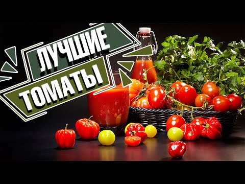 Видео: Это мои самые любимые томаты, которые я сажаю каждый год 🍅