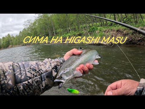 Видео: Ловля симы на блесны Higashi Masu, стримеры и резину.