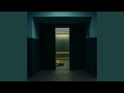 Видео: Медведь