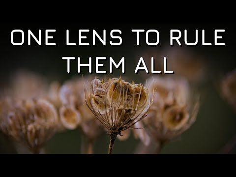 Видео: Один объектив, чтобы править всеми — Olympus M.Zuiko 12-100mm F/4 Pro