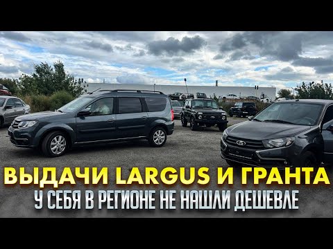 Видео: ВЫДАЧИ LARGUS И ГРАНТА. У СЕБЯ В РЕГИОНЕ НЕ НАШЛИ ДЕШЕВЛЕ